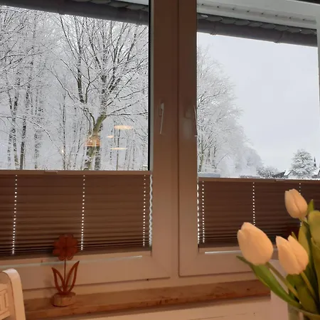 Lejlighed Winter In Der Waldrand Mit Zwei Balkonen