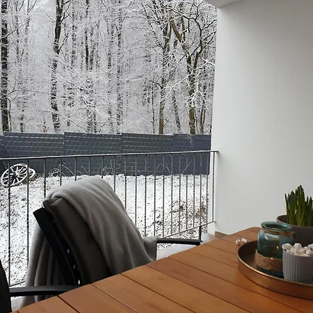 Lejlighed Winter In Der Waldrand Mit Zwei Balkonen