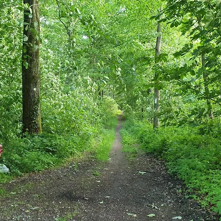 Winter In Der Waldrand Mit Zwei Balkonen Lejlighed *