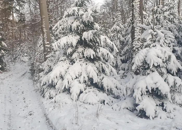 公寓 Winter In Der Waldrand Mit Zwei Balkonen