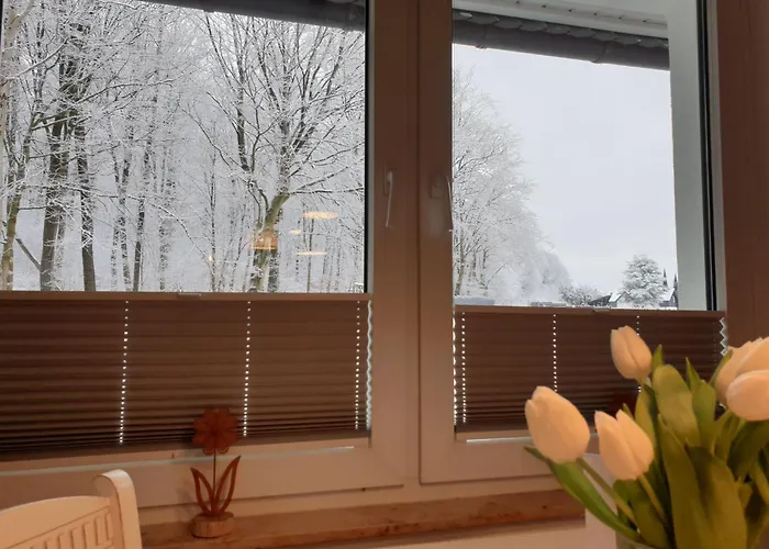 Daire Winter In Der Waldrand Mit Zwei Balkonen