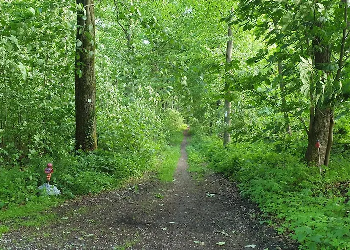 Winter In Der Waldrand Mit Zwei Balkonen Daire *